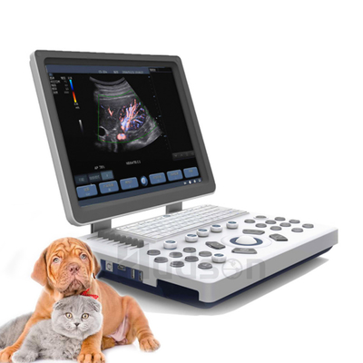 Portable Plastic and Metal Laptop B&amp;W Ultrasound Scanner Machine Dogs Veterinary Ultrasound Scanner for Animal