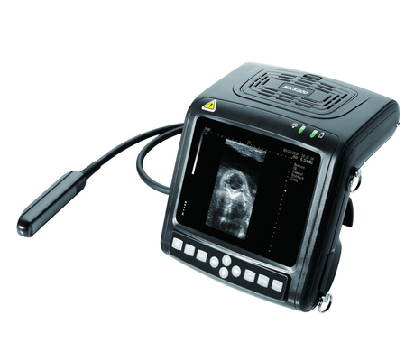 Cheap Metal KX5200 Metal Handheld Pigs Goat Livestock Pig Veterinarian Pregnancy Bovine Ultrasound Scanner