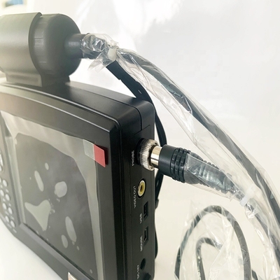 Ultrasonic Machine Portable Veterinary System Ultrasound Pregnancy Test Ultrasound Diagnosis