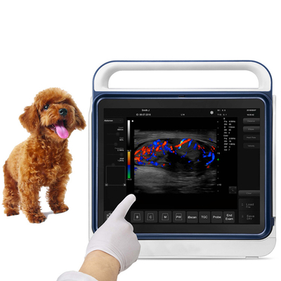 Portable Veterinary Ultrasound Machine Metal Ultrasound Veterinary Ultrasound Machine For Animals